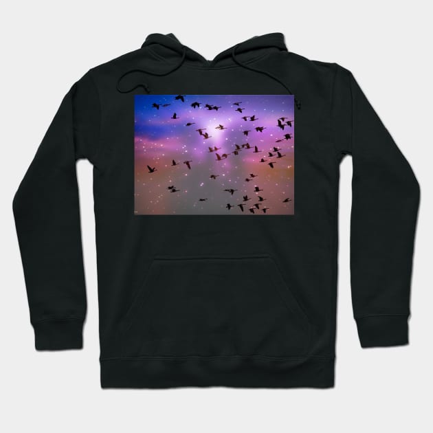 Birds Flying In Space T-shirt Hoodie by KathyG'sArt